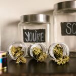 Свойства и Применение Конопли в Рязани