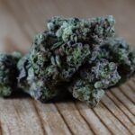 Наркозависимость в Гомеле