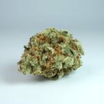 Сорта и характеристики семян конопли