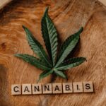 Свойства и применение семян дикой конопли