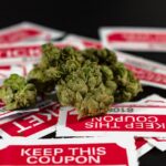 Феминизированные семена конопли White Siberian от Dinafem Seeds