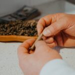 Марихуана свойства и риски связанные с ее употреблением и приобретением