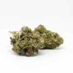 Культивирование конопли в Самарской области и ее полезные свойства