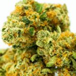 Как найти актуальную ссылку на Кракен даркнет маркет и использовать его безопасно