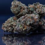 Семена конопли и их характеристики