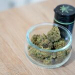 Семена конопли полезные свойства и применение