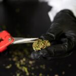 Кракен площадка и как ею пользоваться