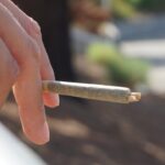 Гриндер для марихуаны: что это такое и как его выбрать