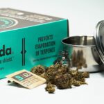 Семена конопли свойства и применение