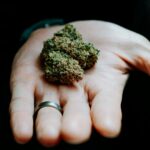 Покупка семян конопли через интернет магазин с доставкой по России