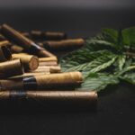 Конопля сорта Blackberry от производителя Nirvana Seeds