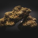 Семена конопли: виды, цены и способы покупки