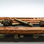 Феминизированные семена конопли: особенности и преимущества использования