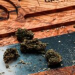 Спайс свойства и параметры и покупка в Москве и России