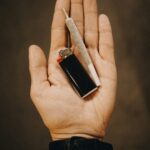 Конопляная продукция и ее применение