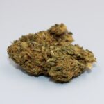 Покупка семян марихуаны в России и их свойства