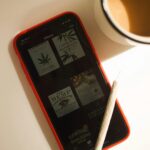 Сорт конопли Amnesika 2․0 feminised от Philosopher Seeds