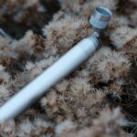 Проращивание Семени Конопли Подробное Руководство