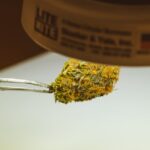 Дикорастущая конопля свойства и характеристики