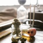 Kraken даркнет маркет как получить доступ и пользоваться сайтом