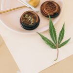 Купить Семена Конопли в России и Украине