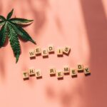 Семена дикой конопли и их выращивание