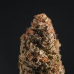 Цена героина в России и аспекты покупки наркотика