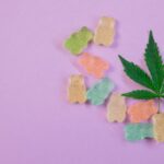 Сорт конопли Auto Big Bang feminised от Green House Seeds