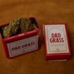 Марихуана и анаша свойства и эффекты