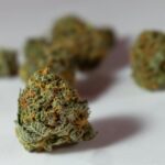 ЛСД Марки: Свойства, Опыт Использования и Приобретение