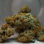 Трубки для гашиша: разнообразие и выбор